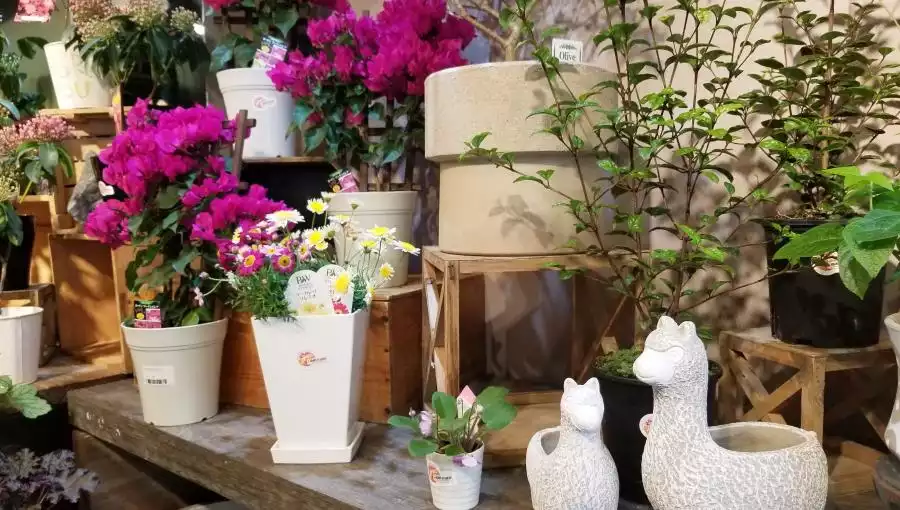 FLOWER MARKET